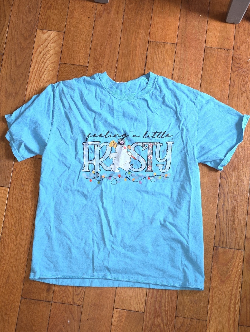 42 - Gildan Light Blue "Feeling a Little Frosty" Short Sleeve Tee